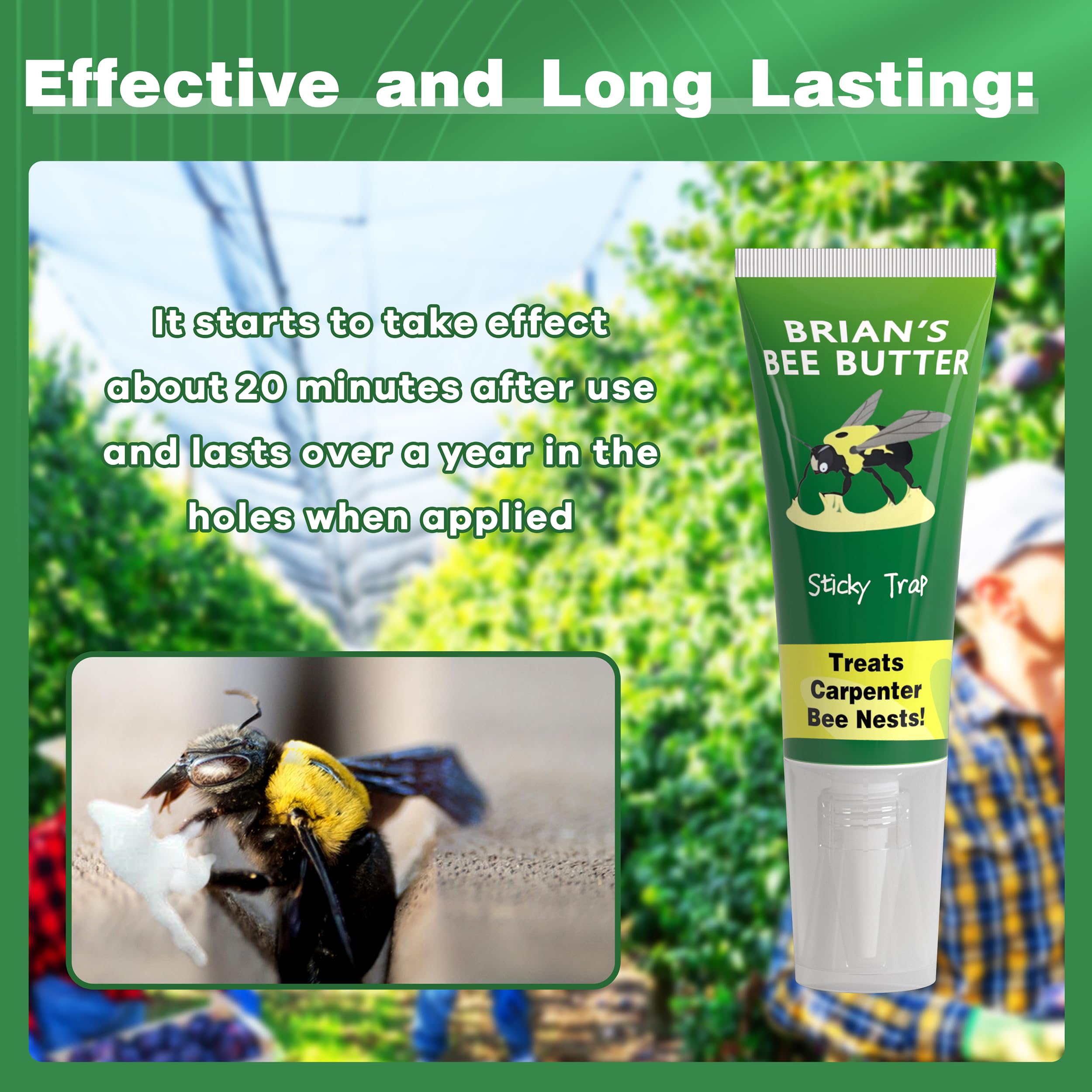 Best Bee Trap professional-style outdoor pest control.
