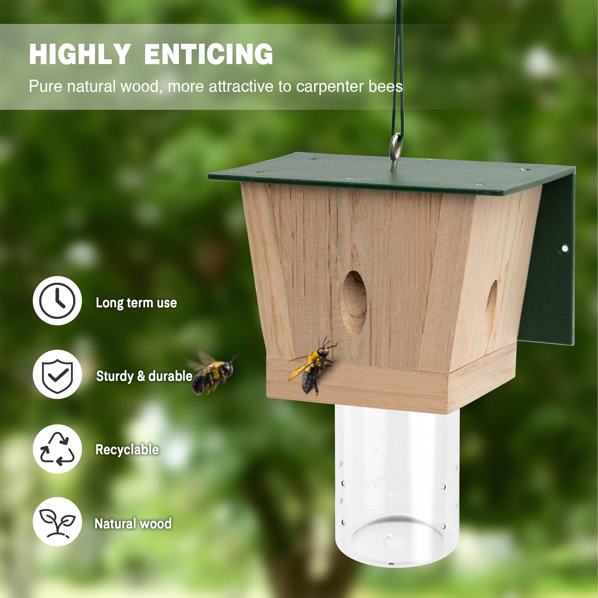 Best Bee Trap removable vault close-up showing secure access for easy maintenance.