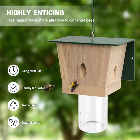 Best Bee Trap removable vault close-up showing secure access for easy maintenance.
