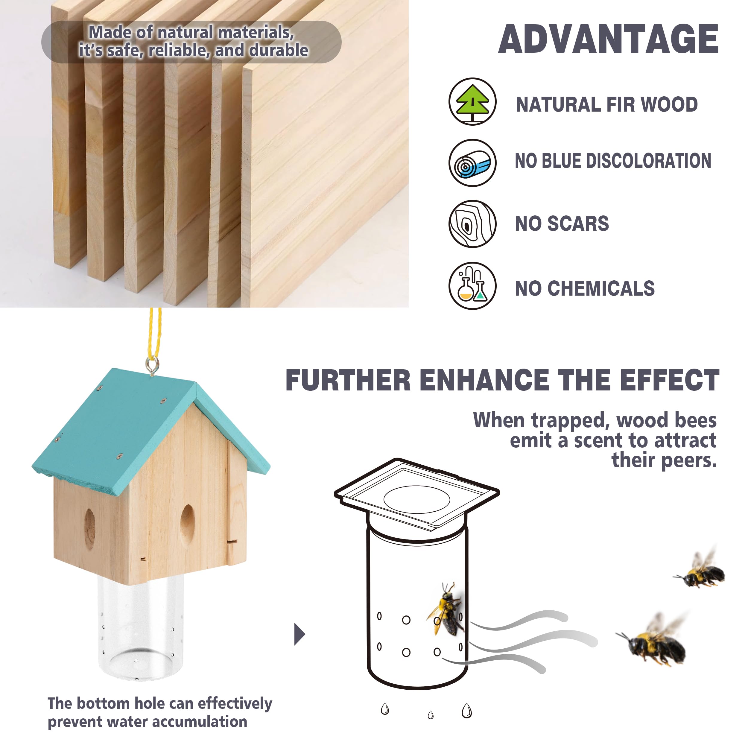 Best Bee Trap removable vault design for simple maintenance and reset.