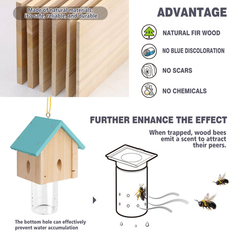 Best Bee Trap removable vault design for simple maintenance and reset.
