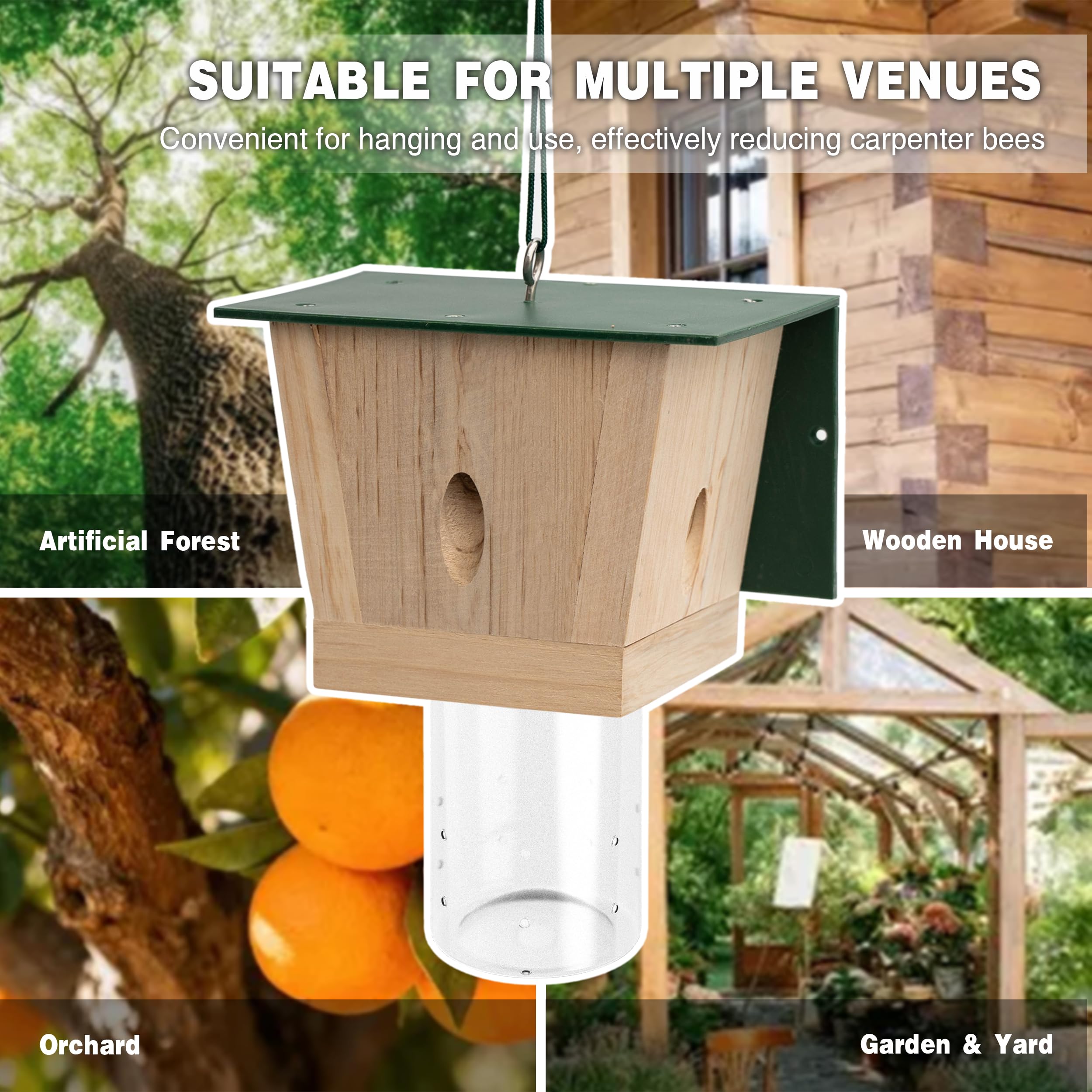Best Bee Trap removable-vault feature for simple trap maintenance.