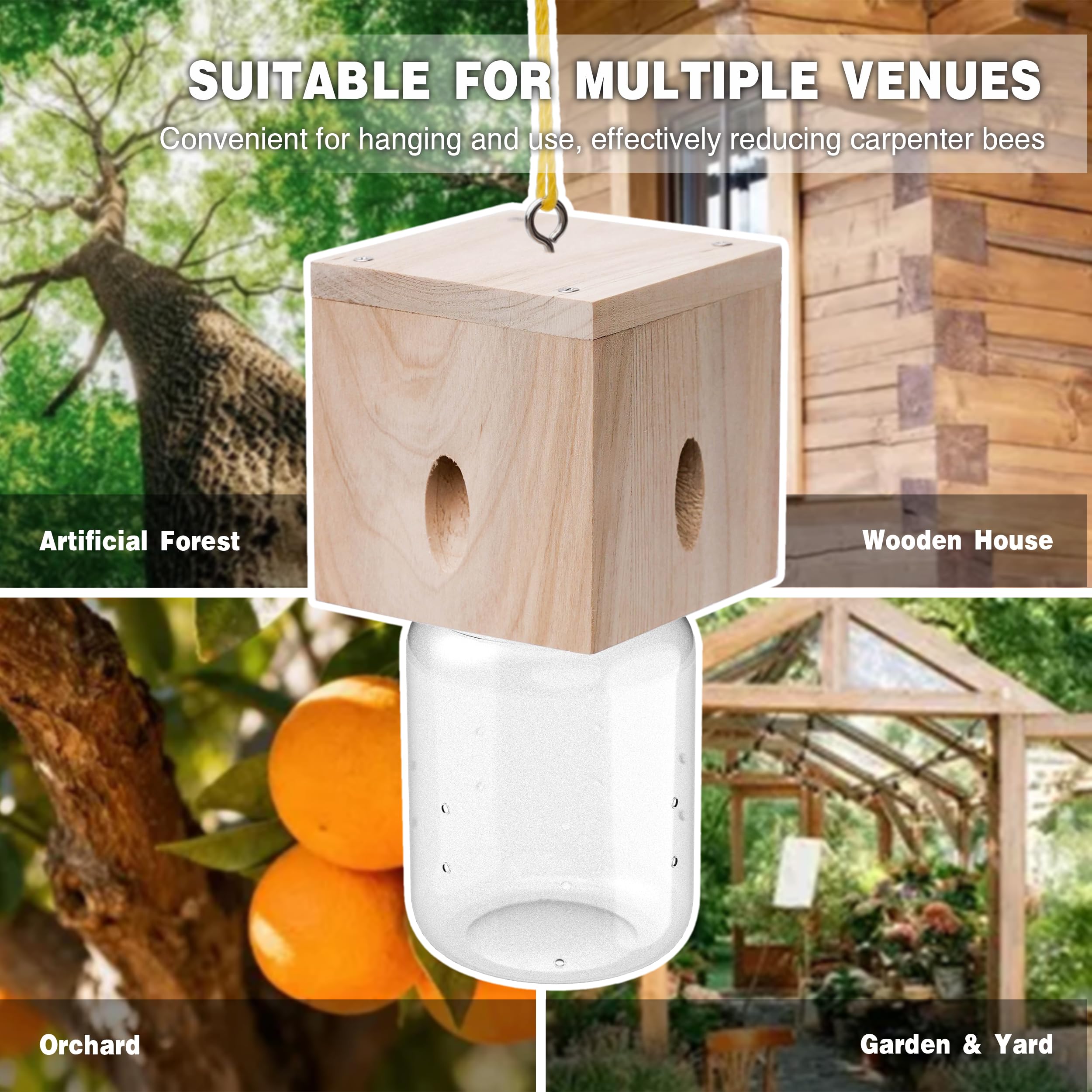 Best Bee Trap screw reinforced frame for long-lasting outdoor use