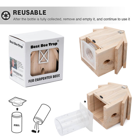 Best Bee Trap south-facing installation away from moisture.