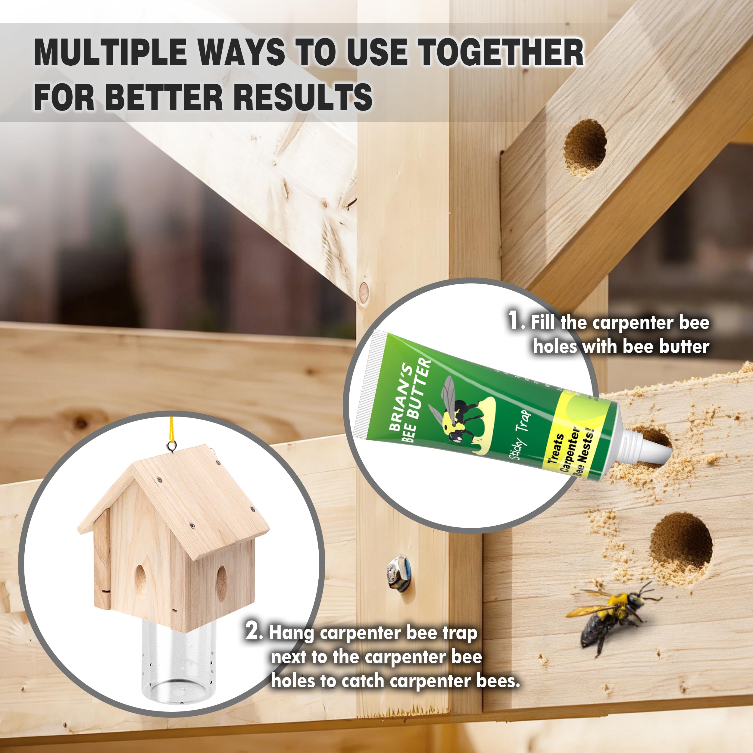 Best Bee Trap south-facing placement optimizes bee attraction.