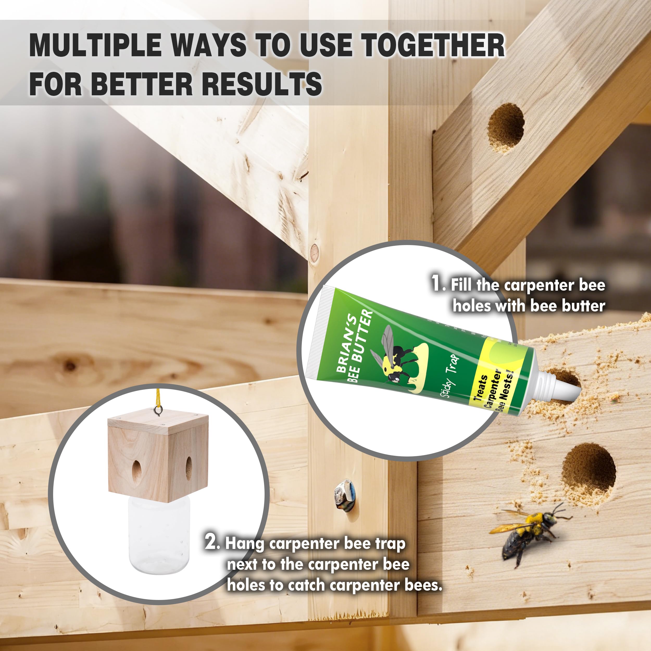 Best Bee Trap placed in sunlit area at 5–7 feet for optimal exposure.