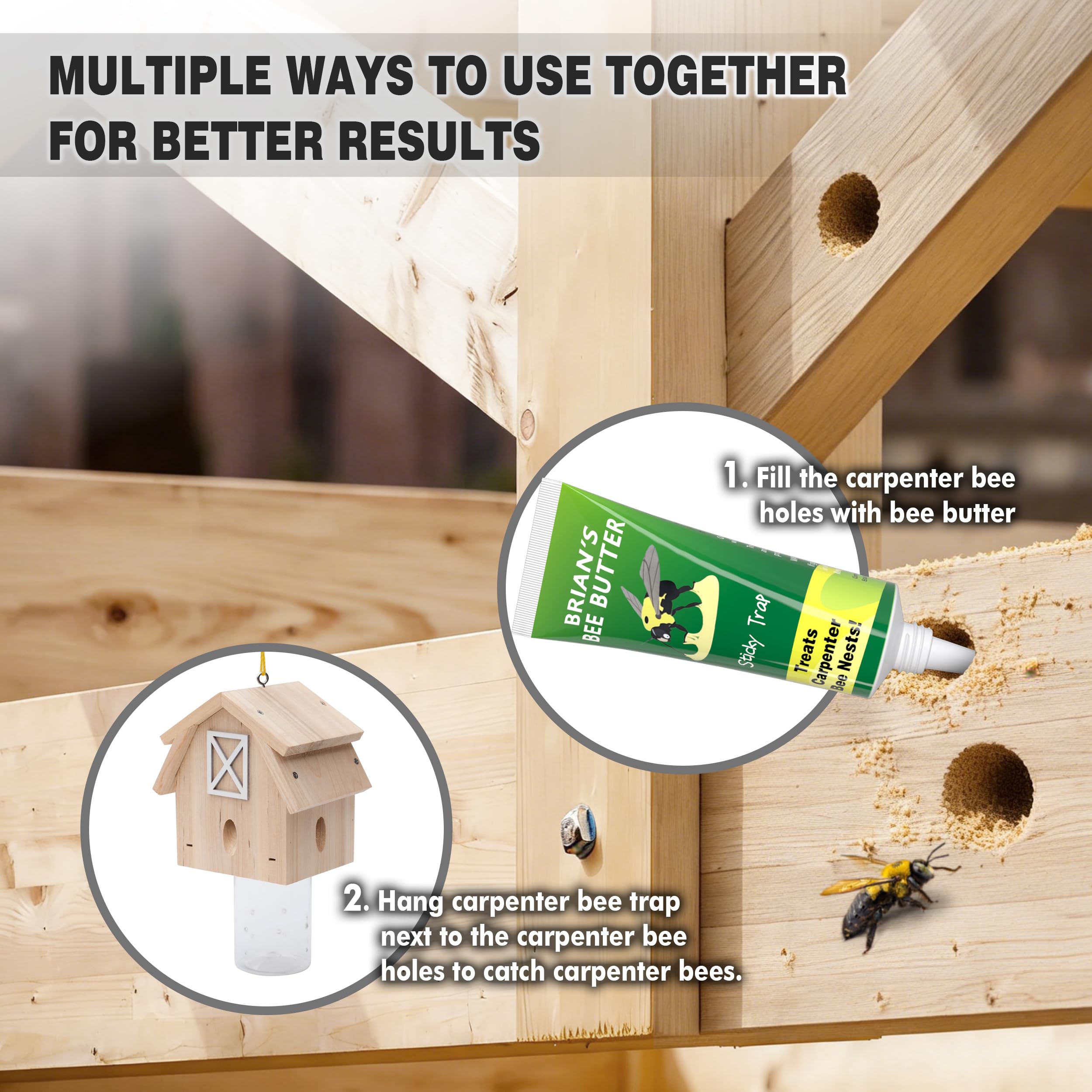 Best Bee Trap sunny placement guideline for optimal activity.
