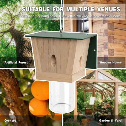 Weather-resistant natural fir body of Best Bee Trap enduring outdoor conditions