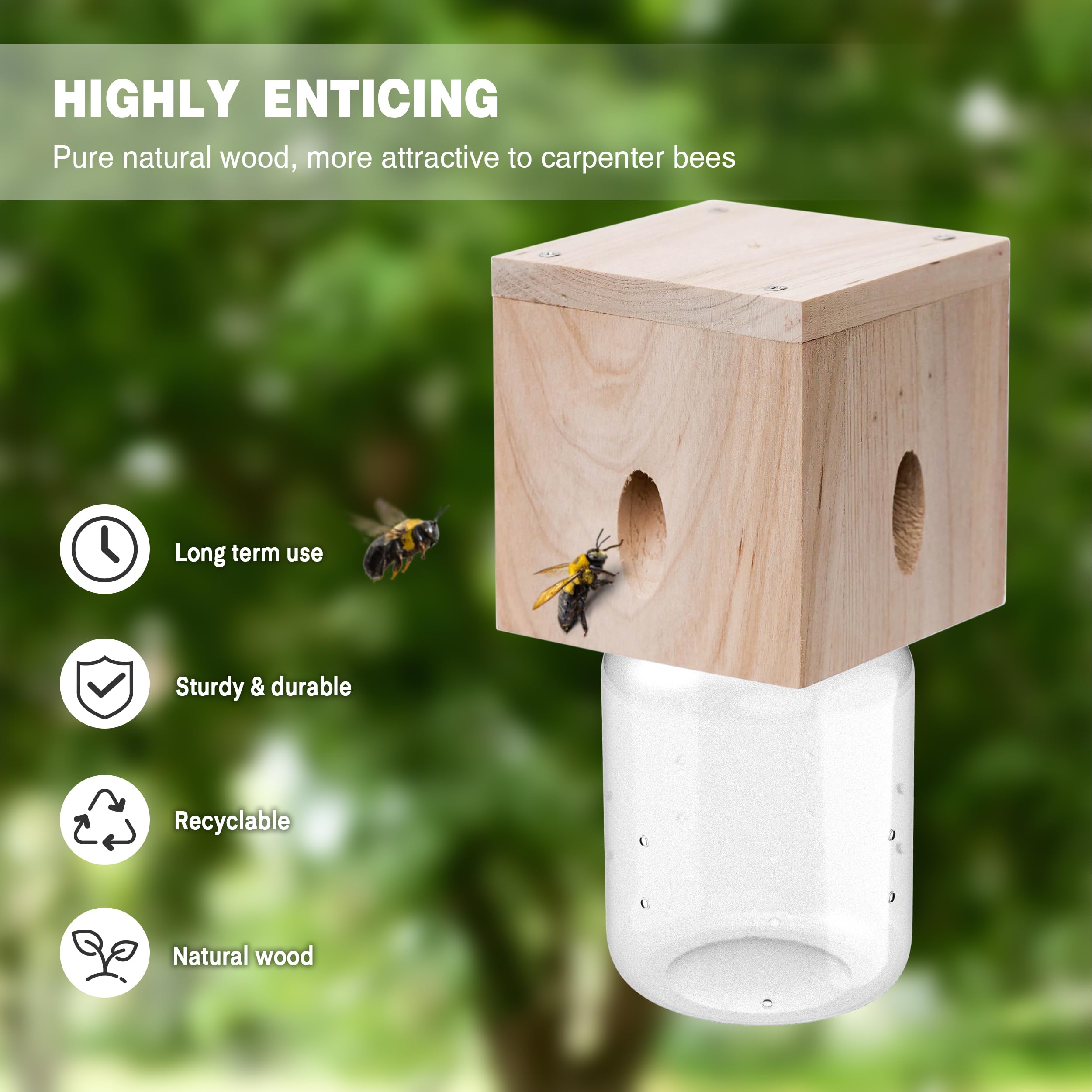 Best Bee Trap natural fir construction with reinforced joints for strength.