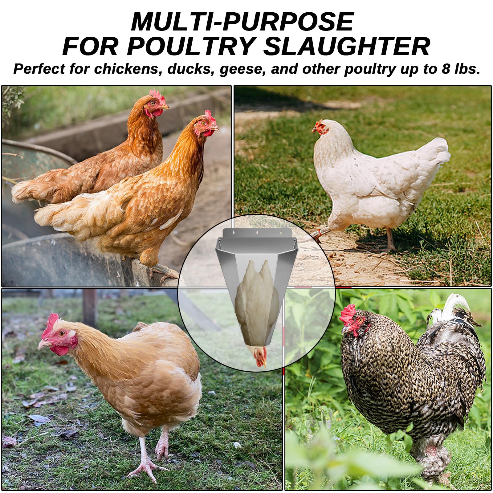 Bester multi-poultry compatibility cone suited for chickens and ducks.