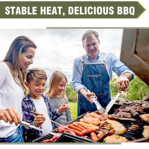 Bestfire regulator ideal for grills, turkey fryers, and portable stoves.