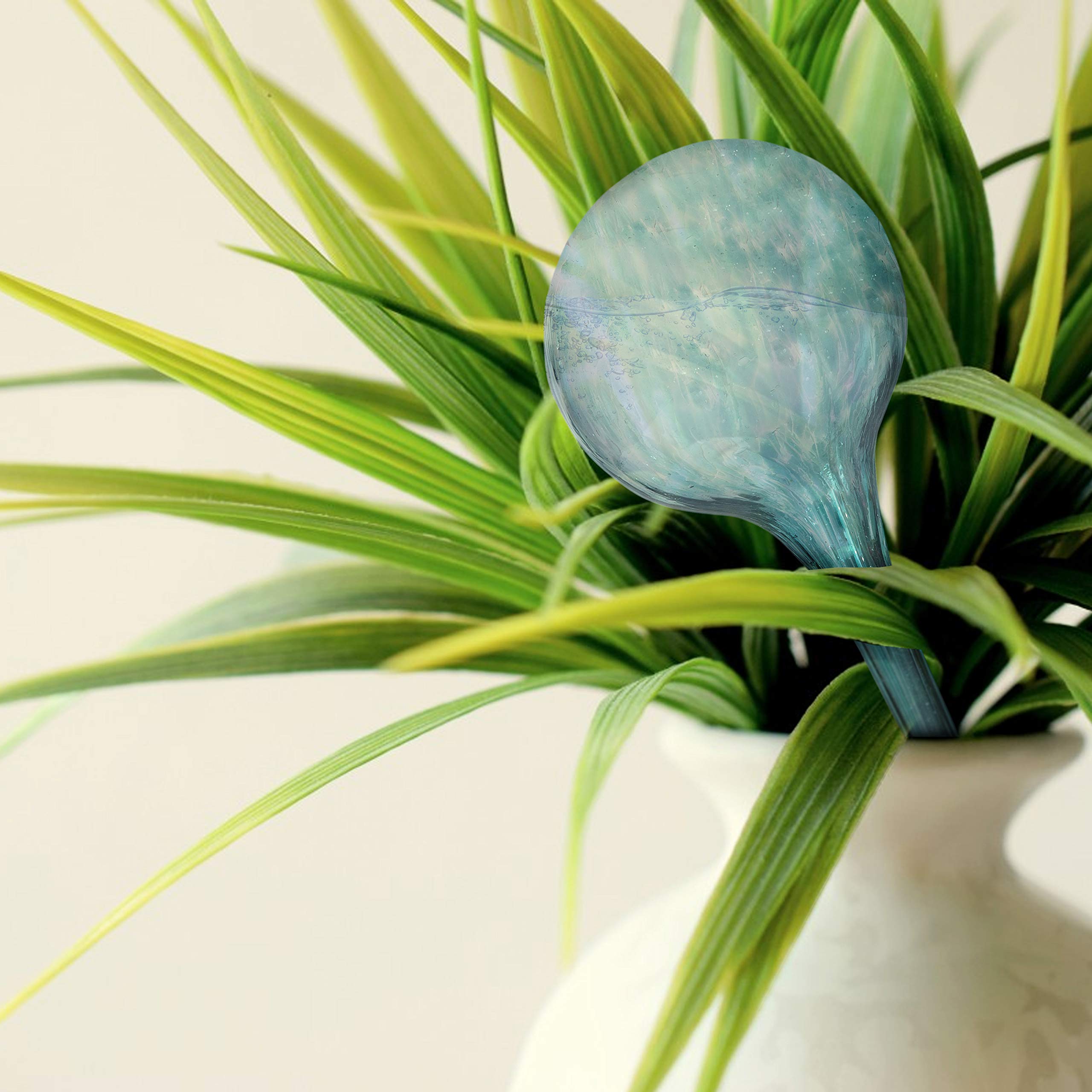 Besti 12-inch glass globes provide up to two weeks of hydration.