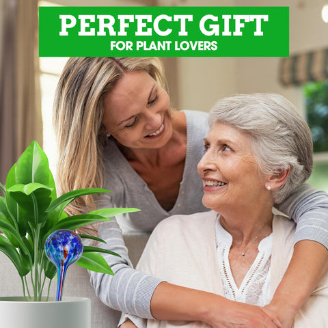 Besti globes for potted plants offering up to two weeks watering