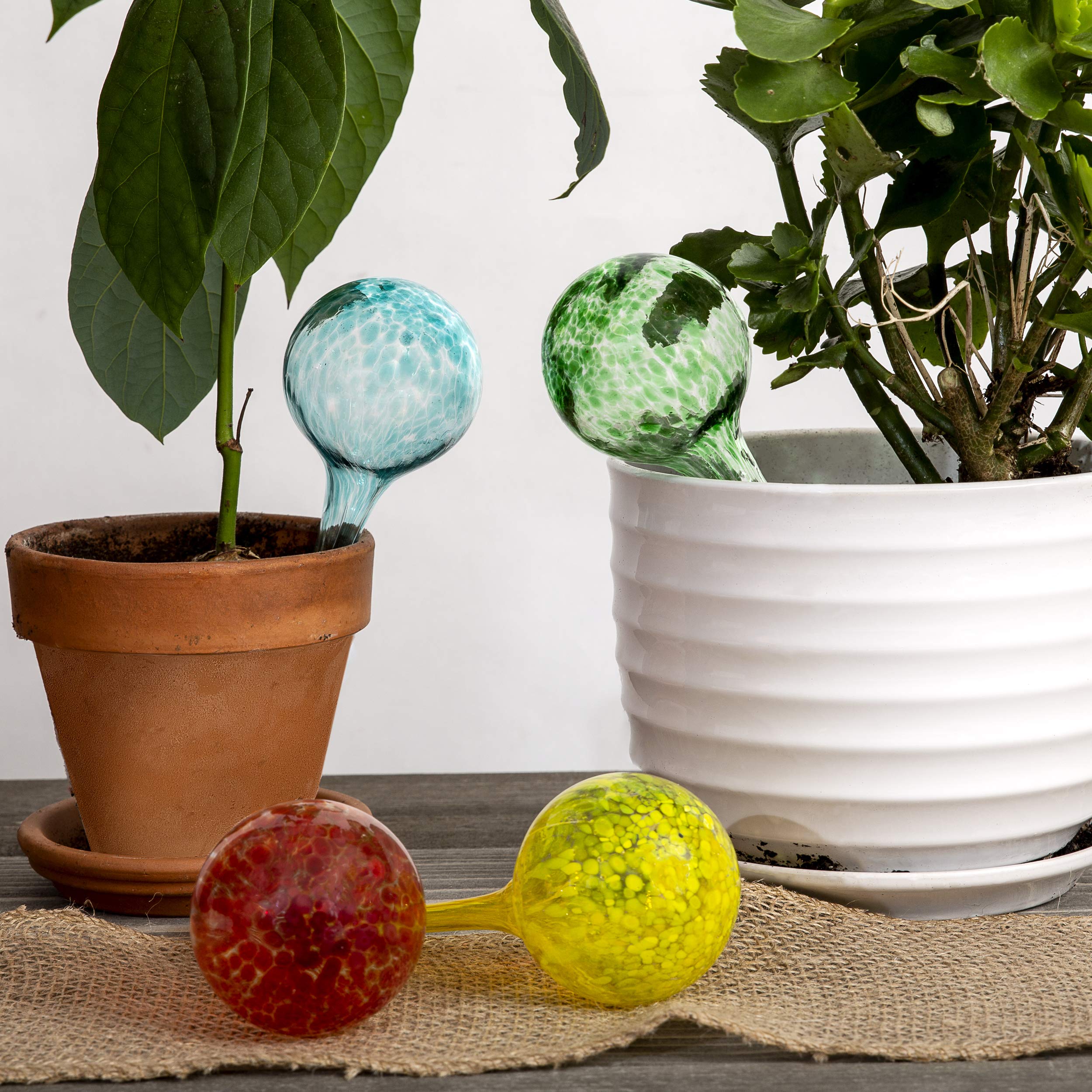 Besti self-watering globes indoor use hanging pot scenario showcasing durability.
