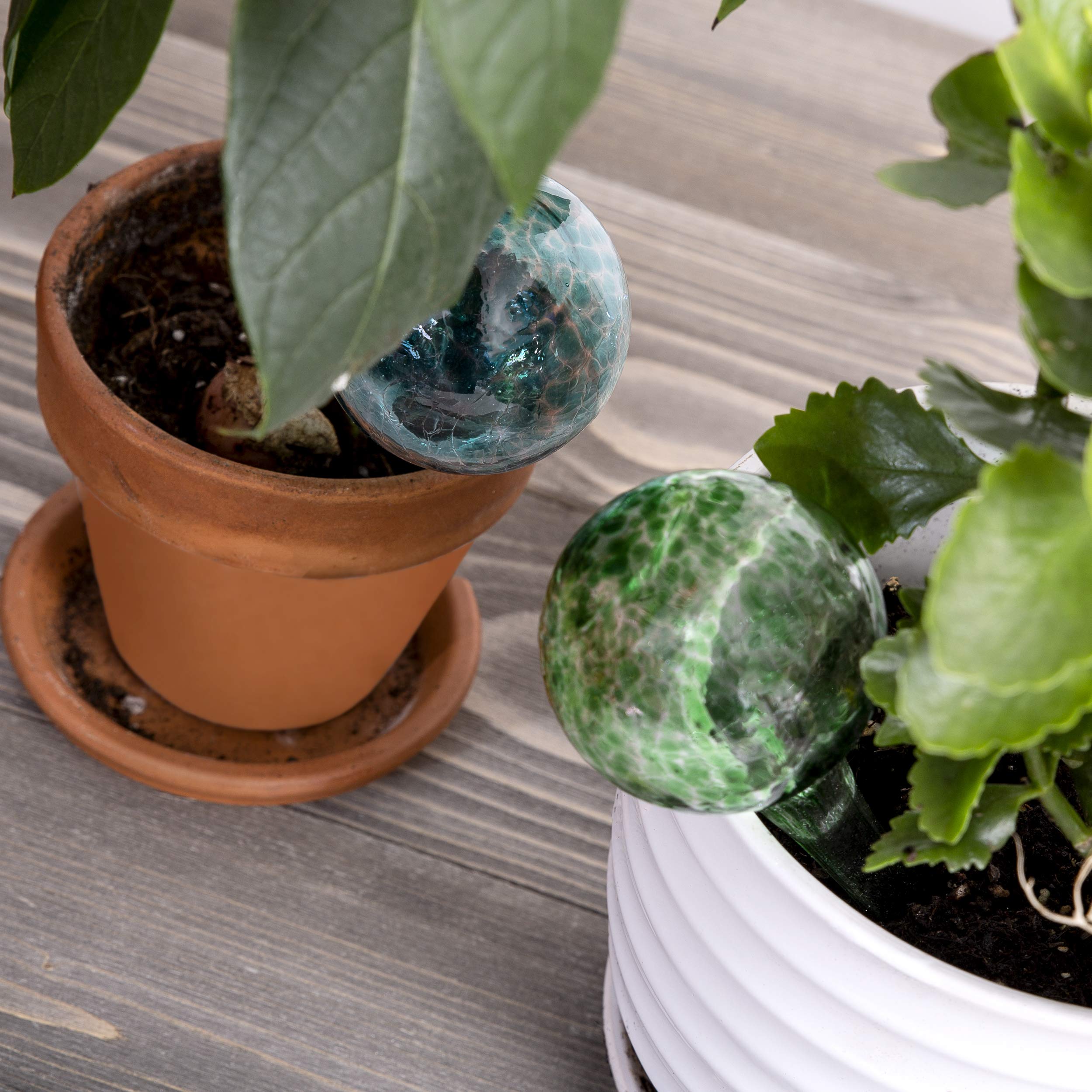 Besti glass watering globes outdoor use with floor plant stability.