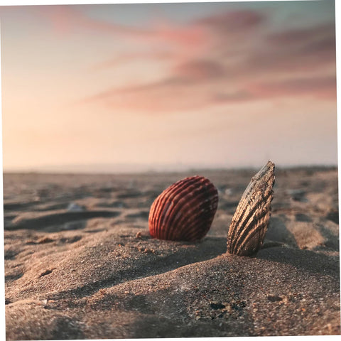 BESTonZON mini rockery model ideal as garden ornament and home office decor.