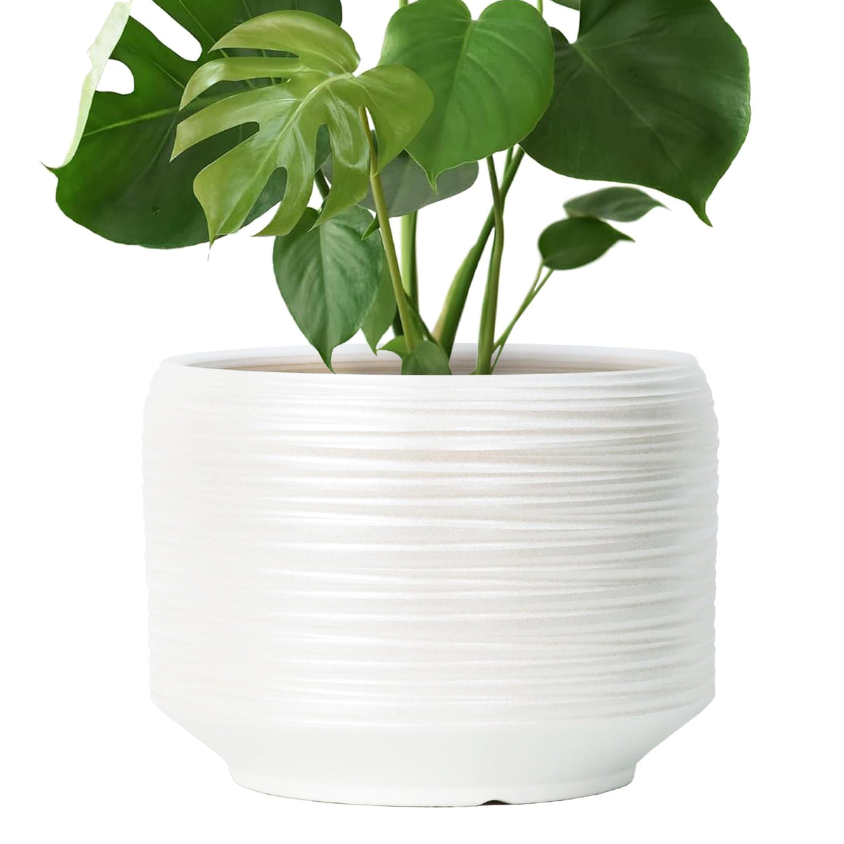 Bestseler ribbed-surface ceramic pot adds depth and grip for indoor plants.