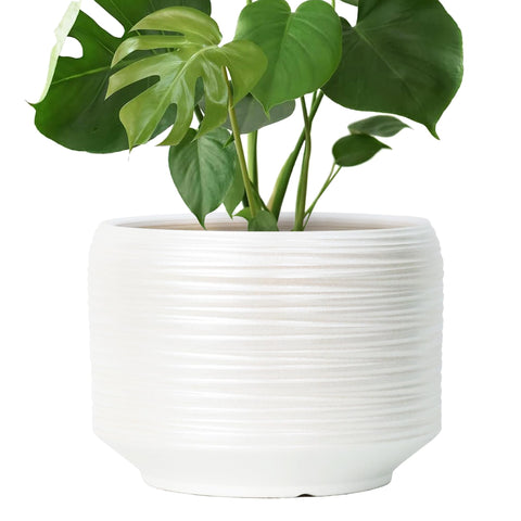 Bestseler ribbed-surface ceramic pot adds depth and grip for indoor plants.