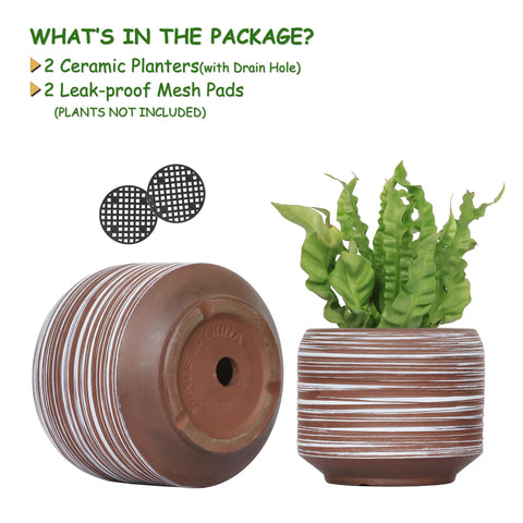 Bestseler 6-inch ceramic pot with drainage boosts moisture control on tabletops