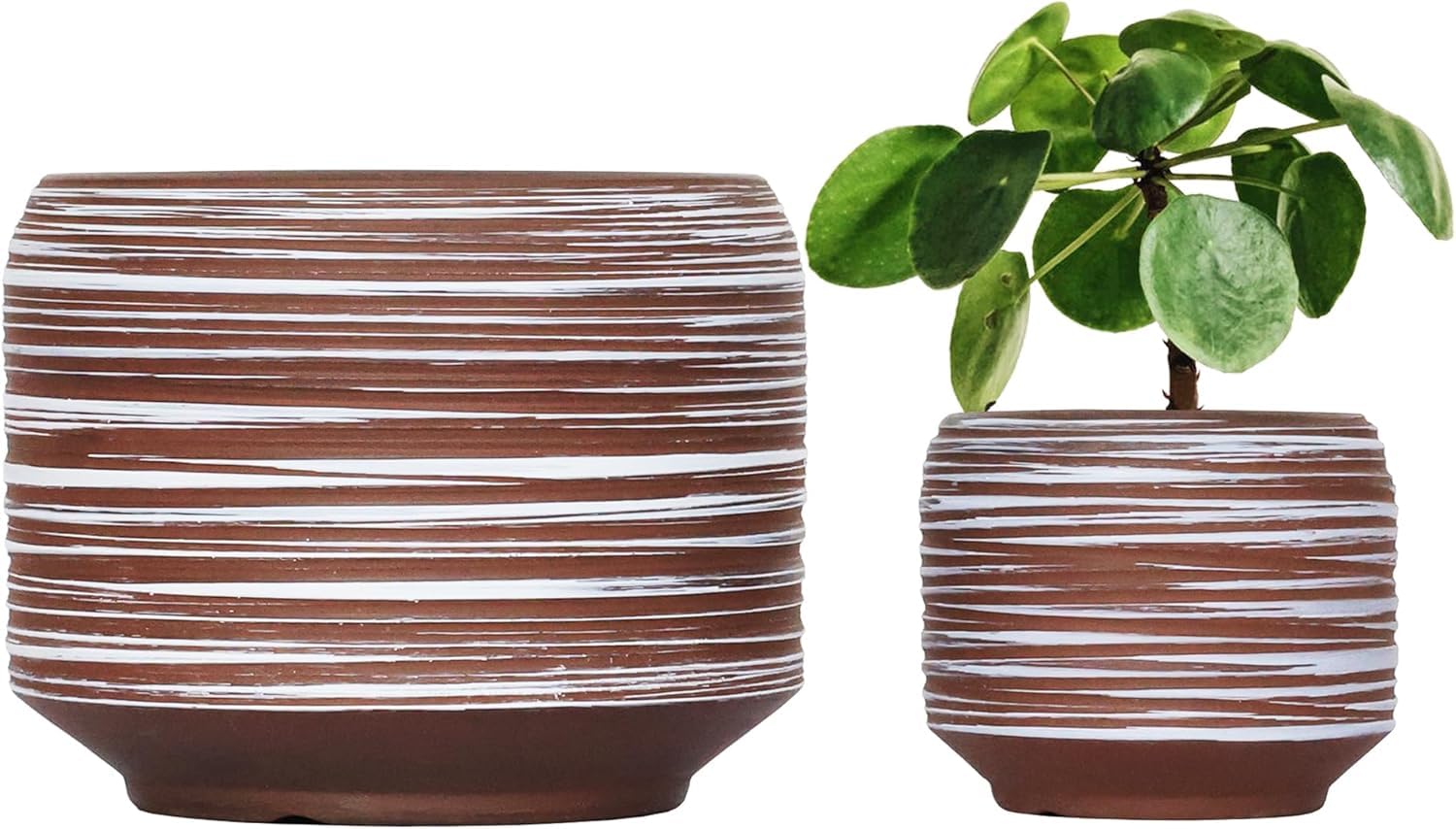Bestseler 8-inch ceramic pot with drainage promotes healthy root moisture for indoor plants