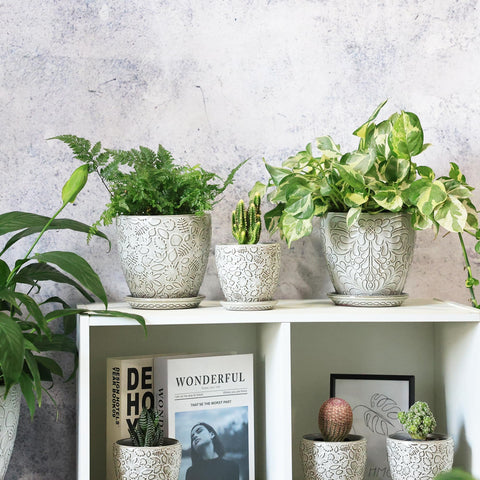 Bestseler ceramic planter in home decor setting for a fresh look.