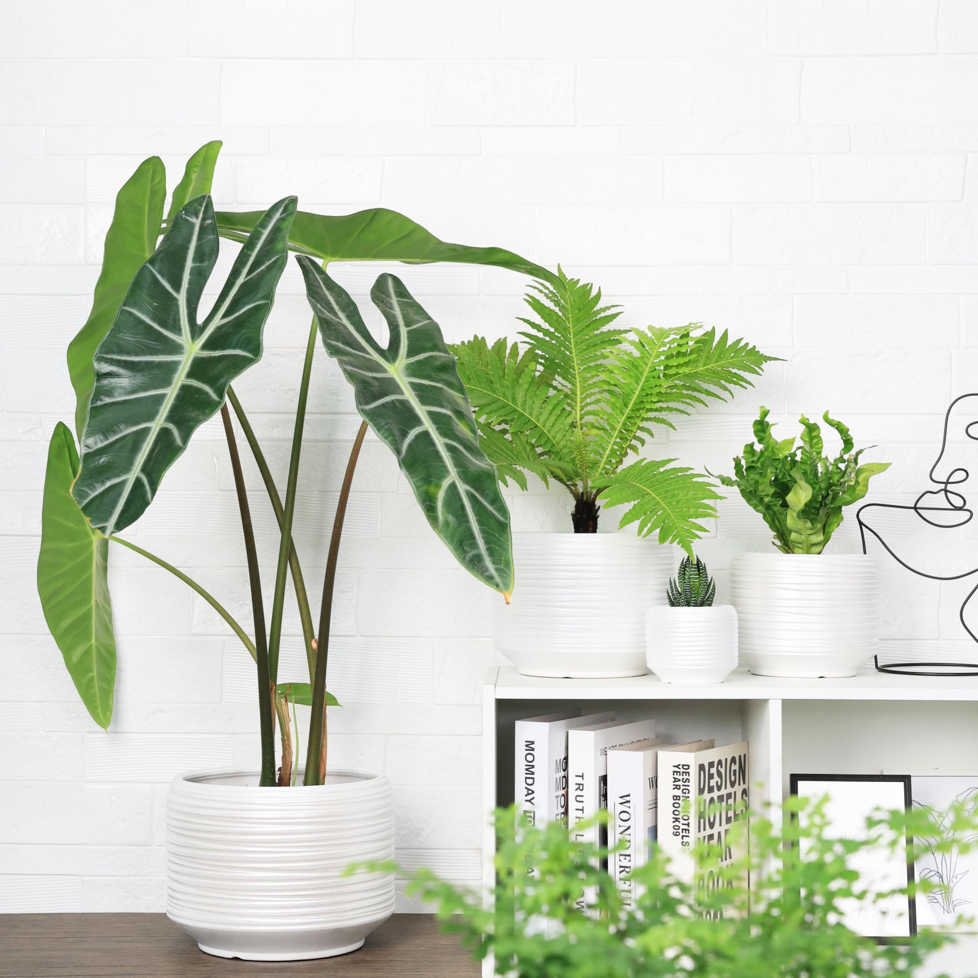 Bestseler decorative planter suits farmhouse, boho, modern, and minimalist decor styles.