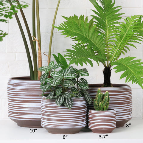 Bestseler decorative planters set blends minimalist and boho décor styles