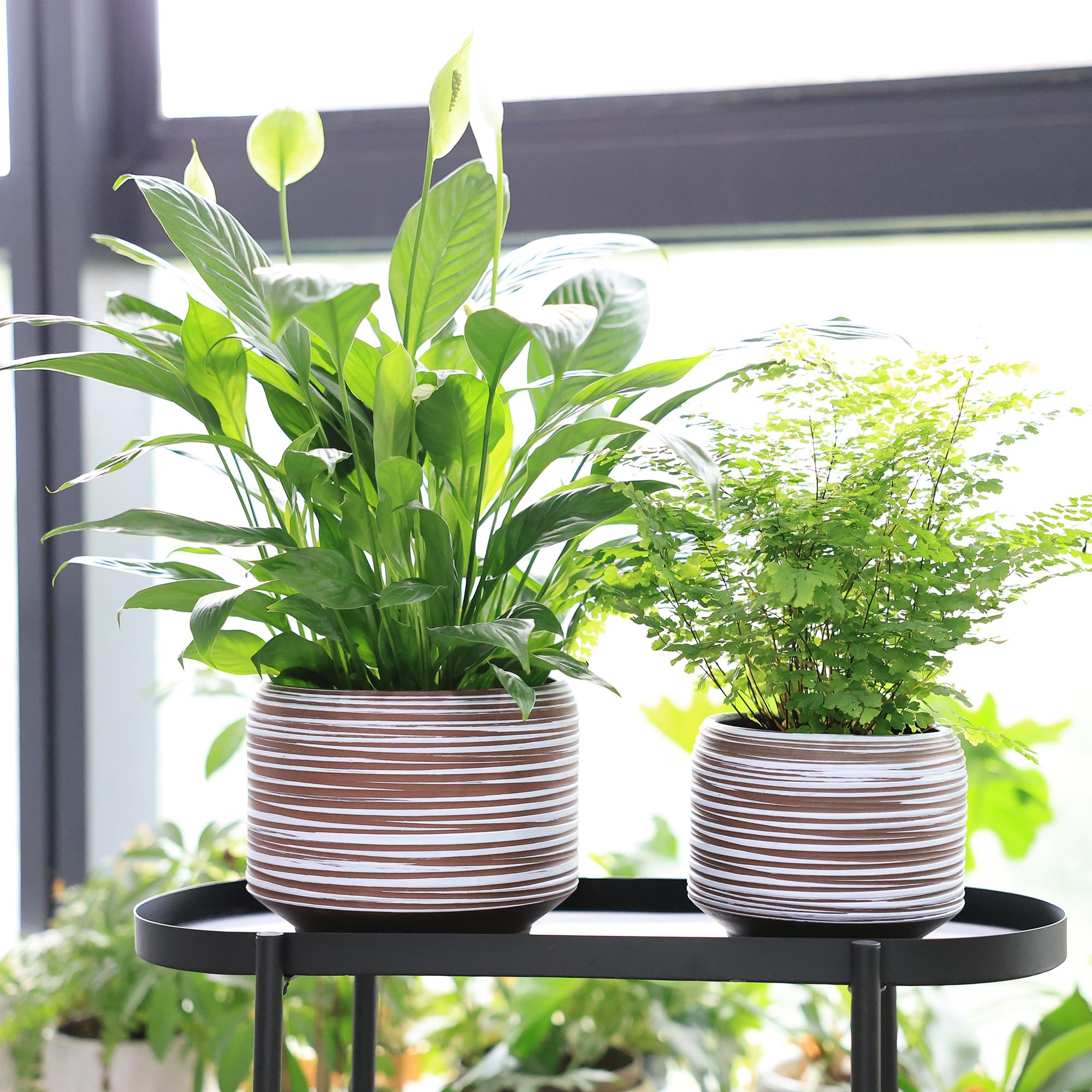 Bestseler durable ceramic material resists cracking in busy homes