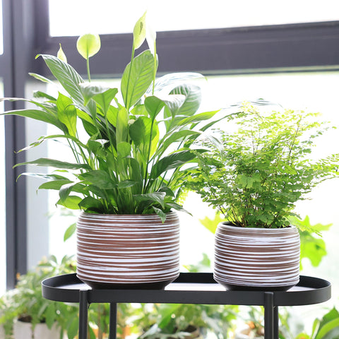 Bestseler durable ceramic material resists cracking in busy homes
