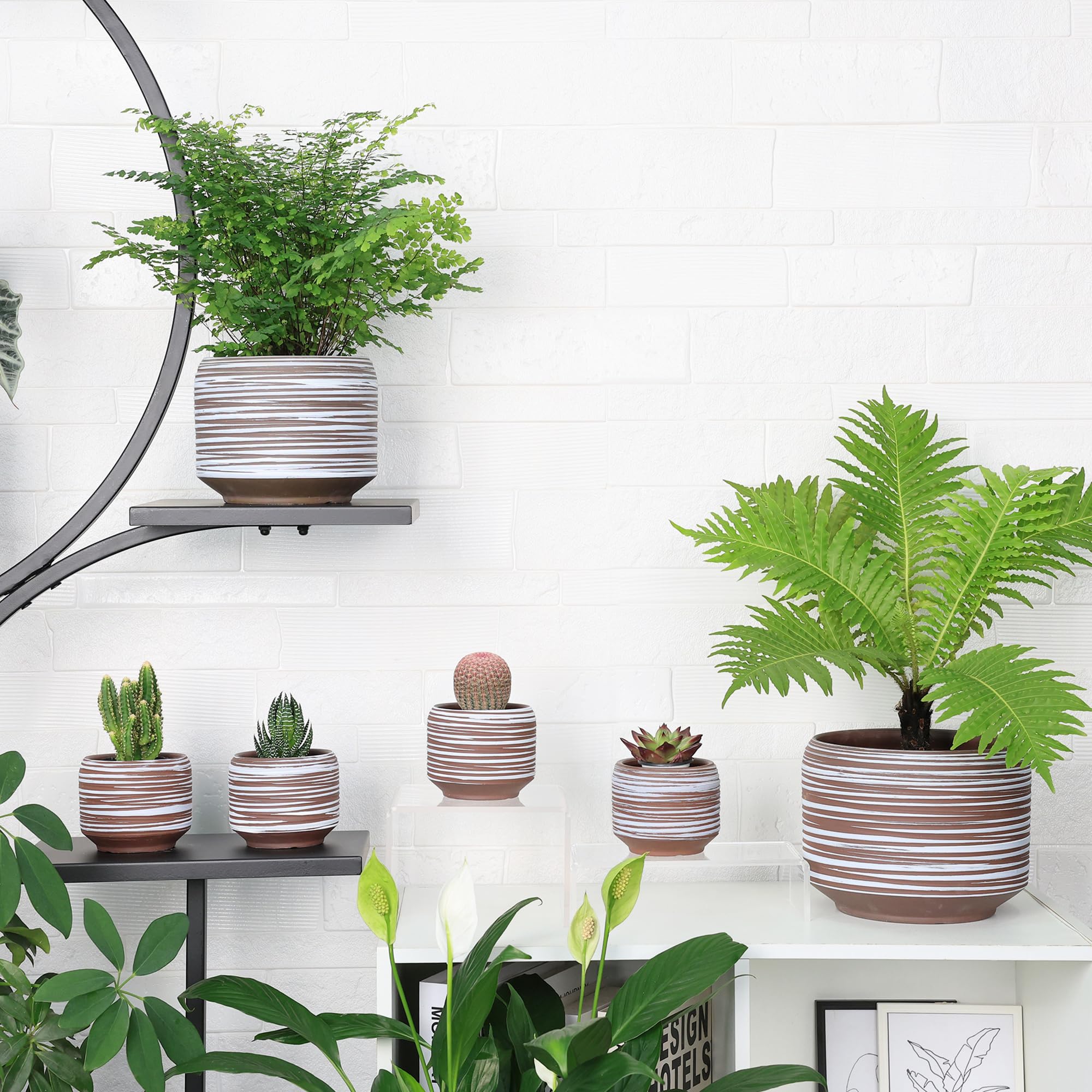 Bestseler indoor garden pair display suits cactus, herbs, and greens