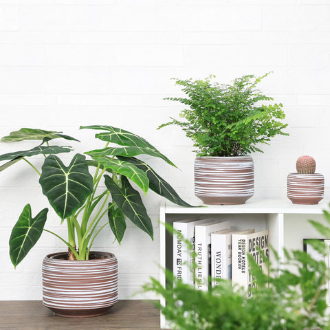 Bestseler modern silhouette ceramic pot adds visual interest to shelves