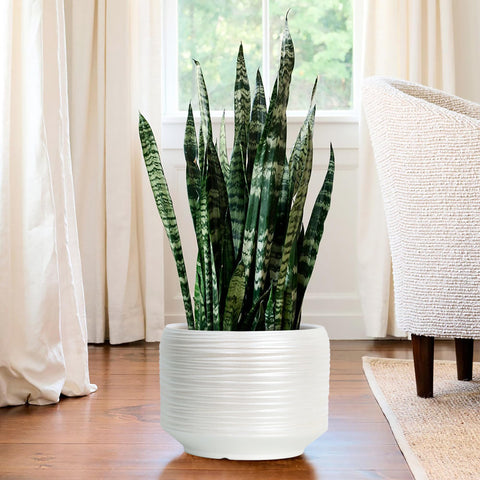 Bestseler large planter supports outdoor garden corners or indoor plant nooks.