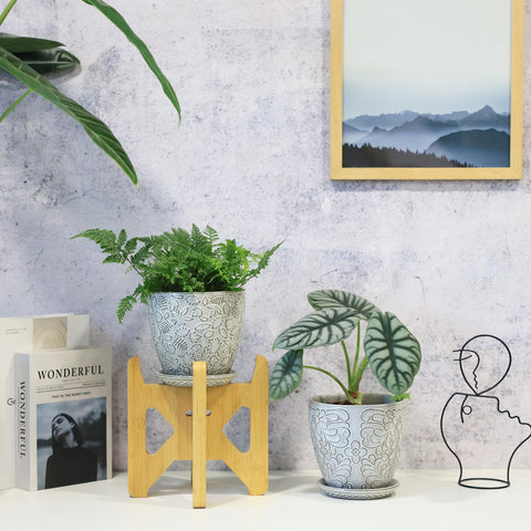 Bestseler succulent plant pot ceramic for small greens.