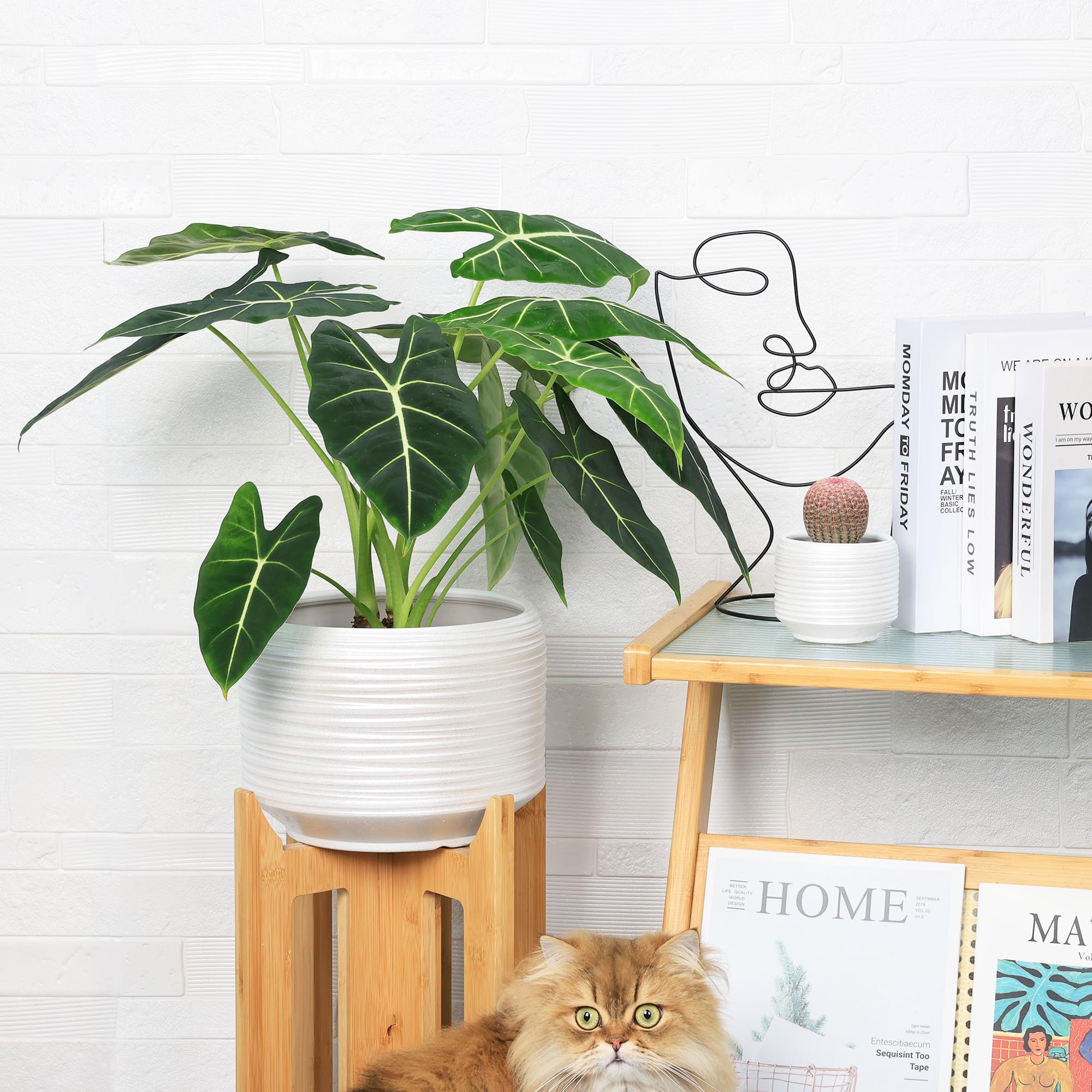 Bestseler weather-ready ceramic pot resists fading, perfect for patio or balcony displays.