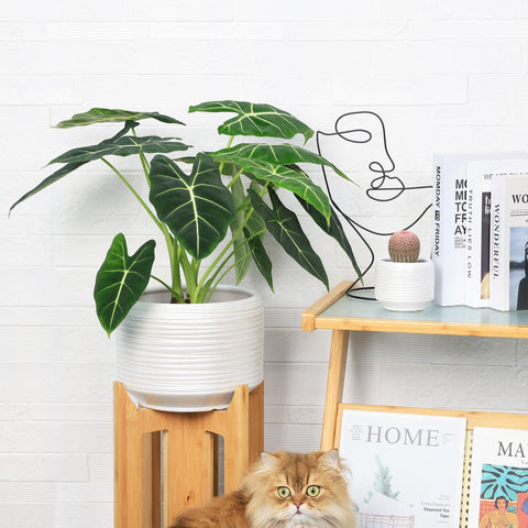 Bestseler weather-ready ceramic pot resists fading, perfect for patio or balcony displays.
