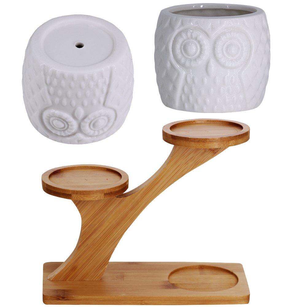 BESTTOYHOME drainage ceramic pot ideal for healthy plant care.