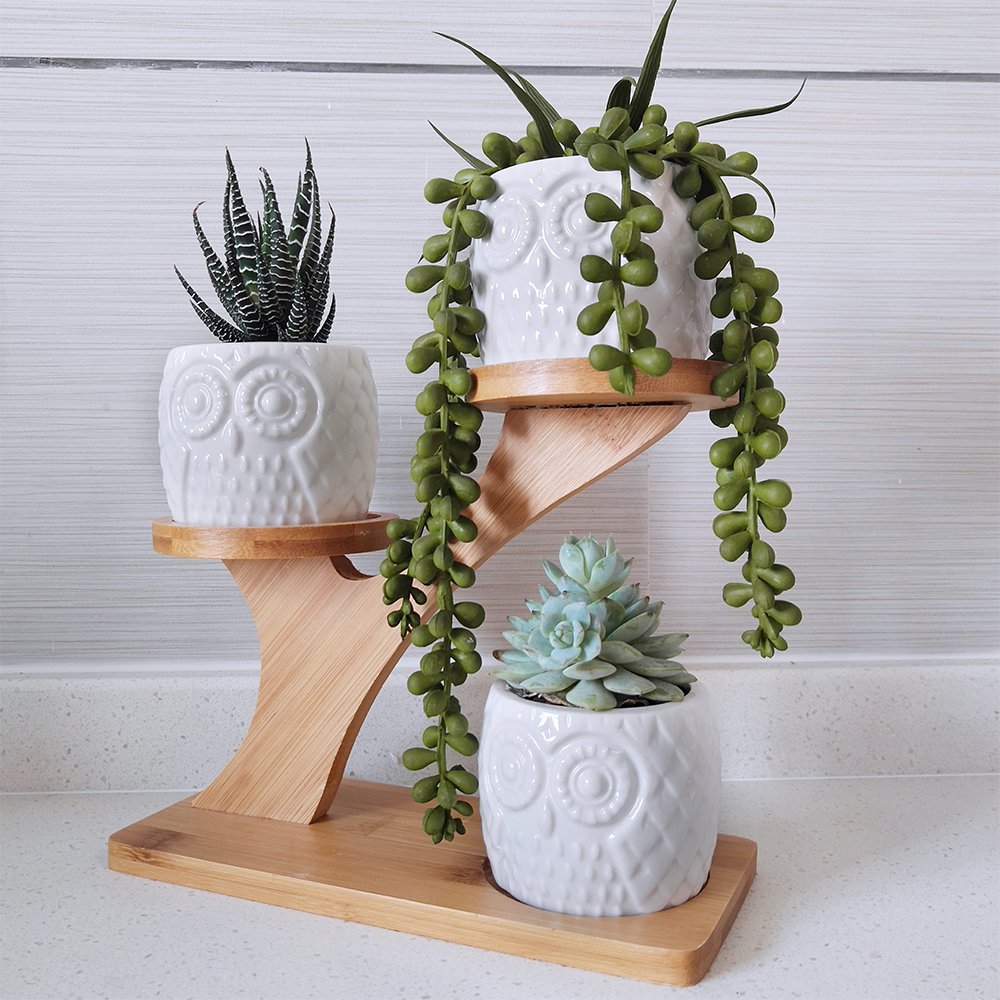 BESTTOYHOME cute gift idea for plant lovers and family.