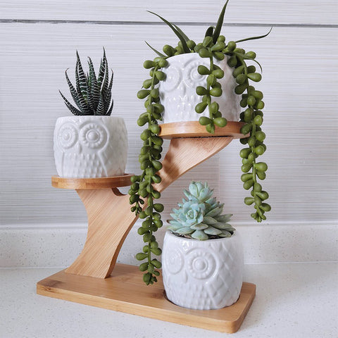 BESTTOYHOME cute gift idea for plant lovers and family.