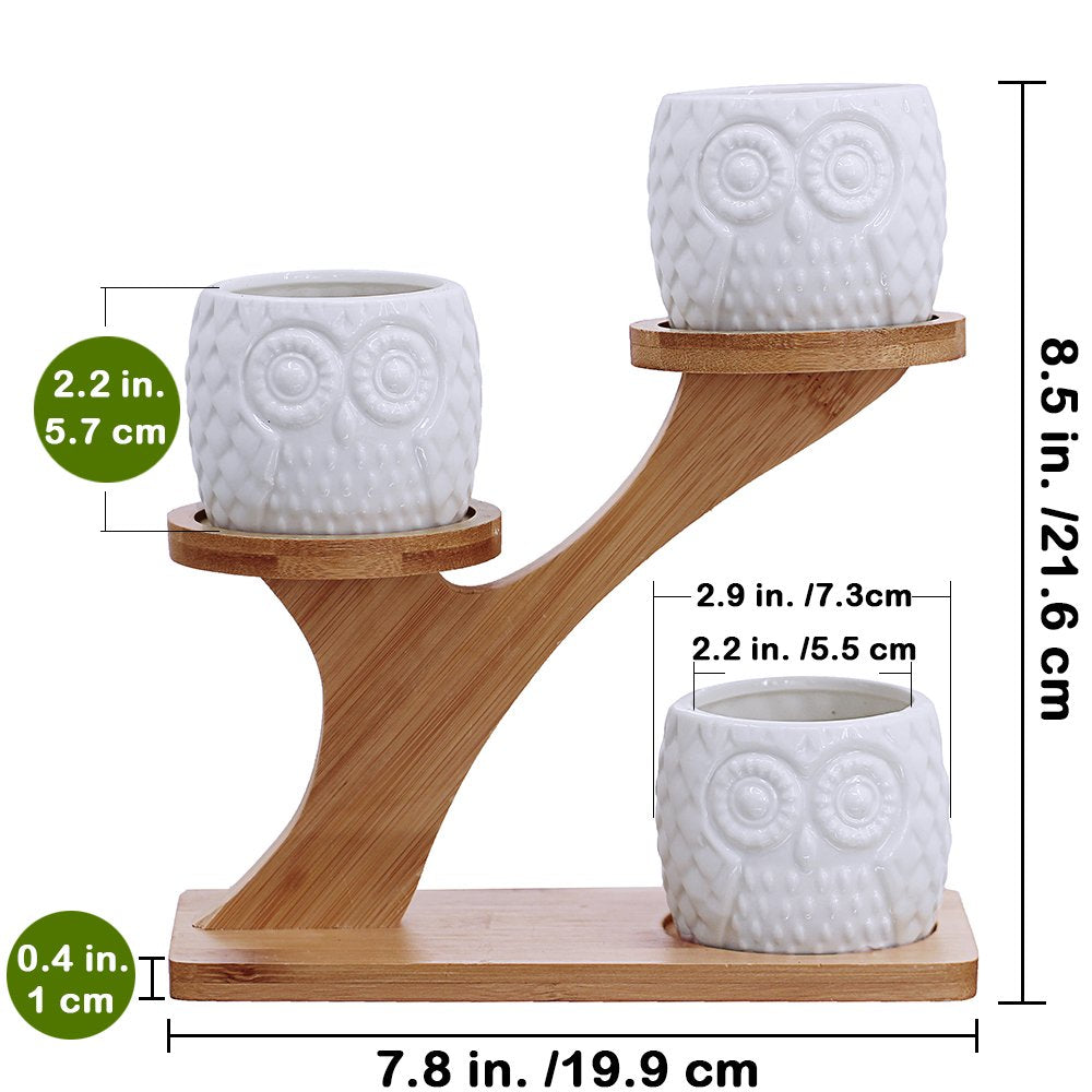 BESTTOYHOME living room owl planter adds charming focal point.