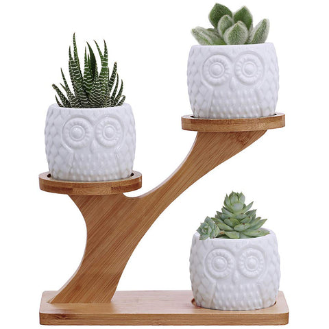 BESTTOYHOME owl succulent pots on a 3-tier bamboo stand for stylish display.