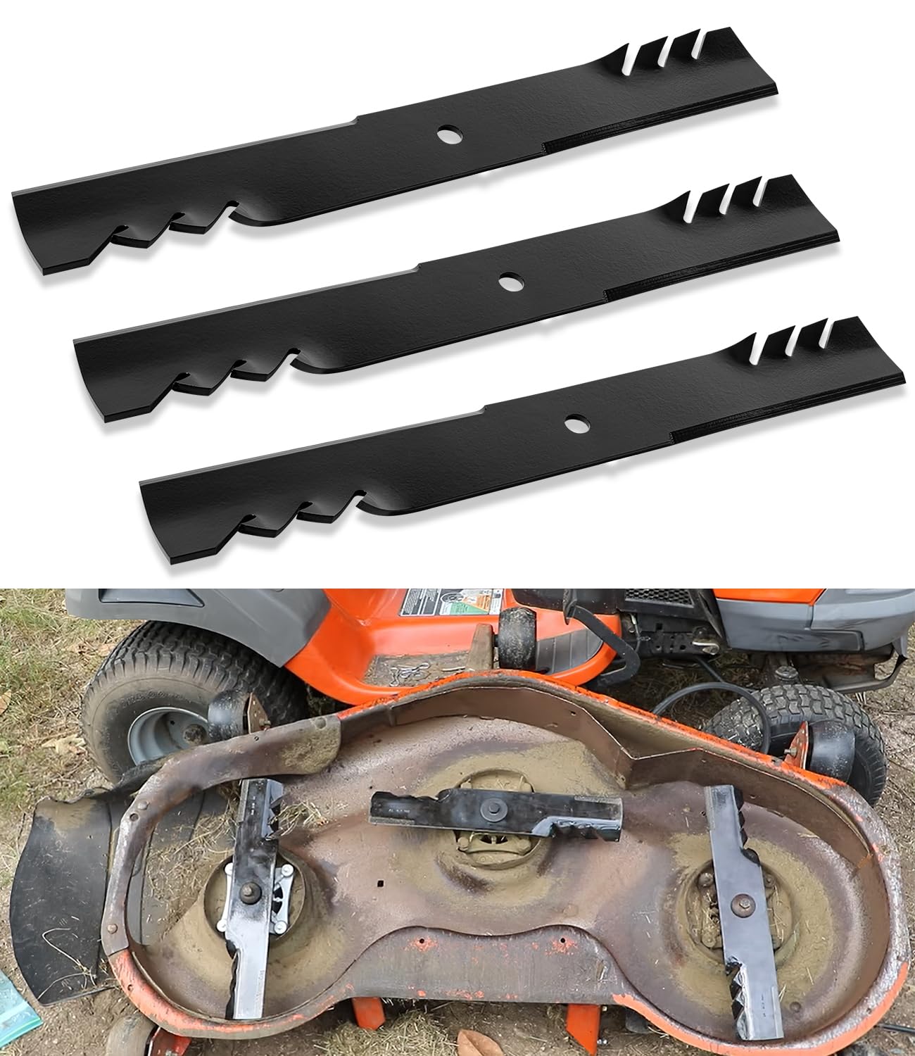 Besttruck Gator blades close-up cutting edge — sharpness for clean cuts