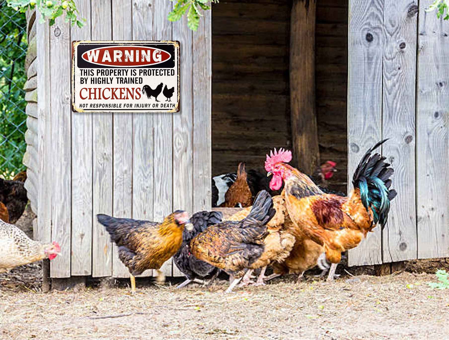 Bestylez Funny Chicken Coop Sign closeup text emphasizes humorous warning