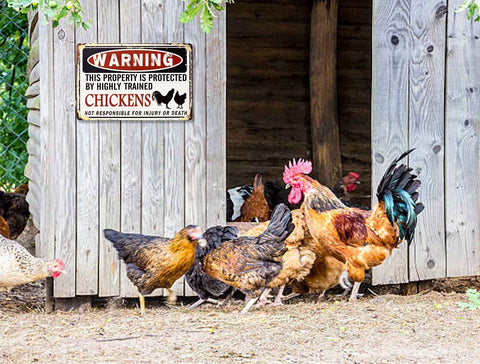 Bestylez Funny Chicken Coop Sign closeup text emphasizes humorous warning