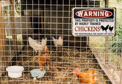 Bestylez Funny Chicken Coop Sign coop-mounted use adds character