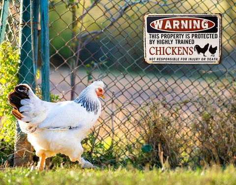 Bestylez Funny Chicken Coop Sign mount holes for easy outdoor installation