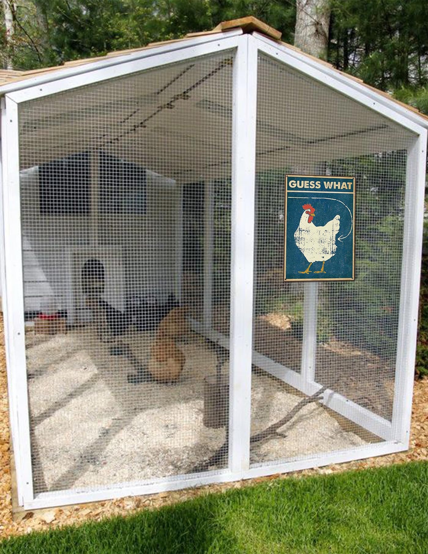 Bestylez 12 by 8 inch sign ideal for coop or kitchen.