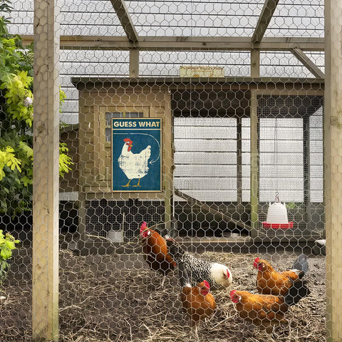 Bestylez metal sign features pre-drilled holes for quick, easy installation.