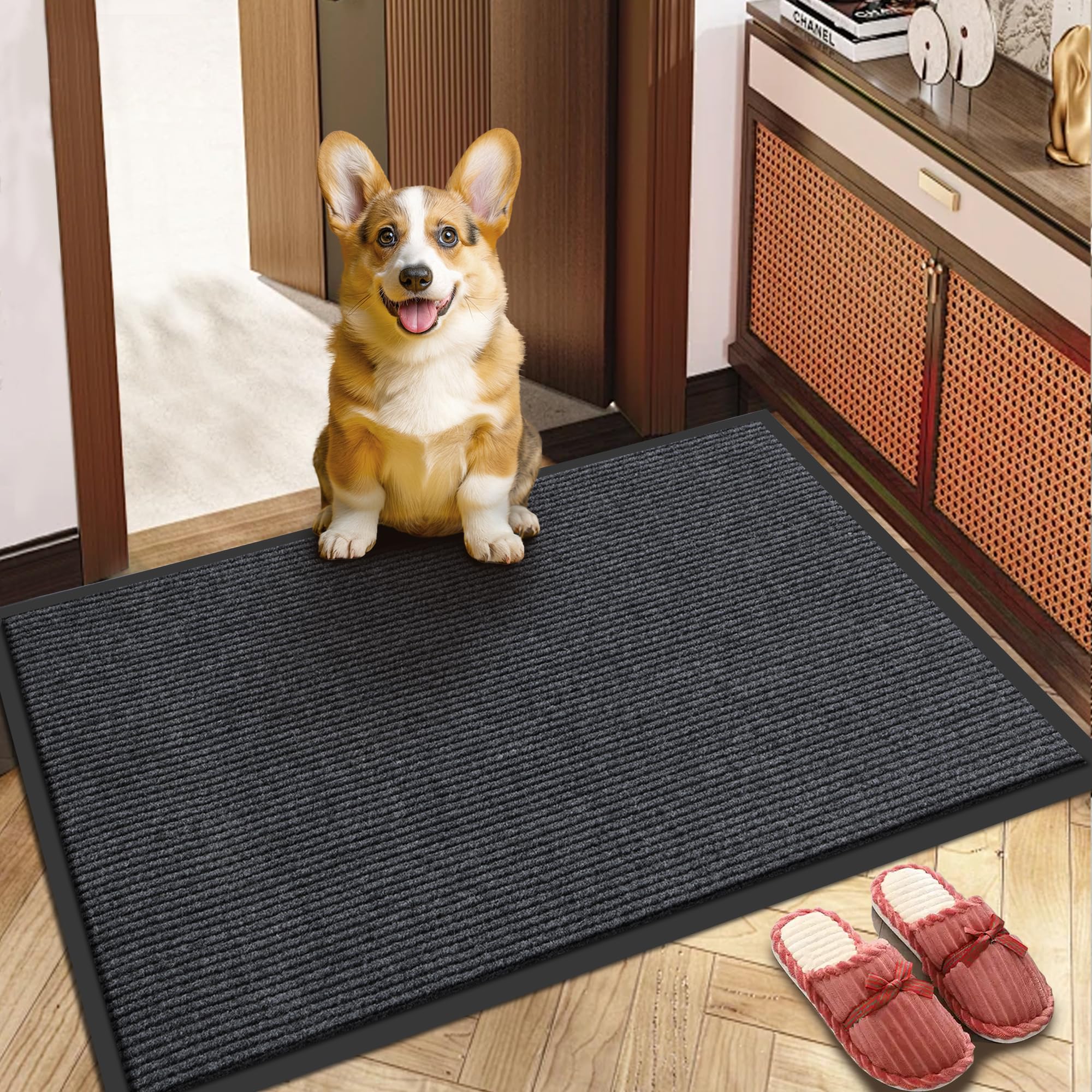 BesWin indoor outdoor entrance mat with non slip backing for secure placement