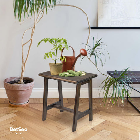 BETSEO Acacia stool with plant side view, ideal plant display platform