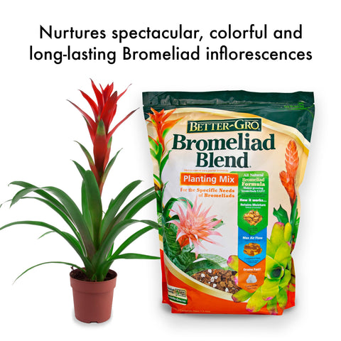 Better-Gro Bromeliad Blend 8 Qt green leaf detail highlights vibrant foliage.